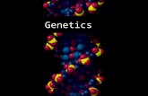 Genetics The Nature/Nurture Debate How great is the influence of genes or environment on our behavior, personality, biology, etc.?