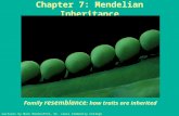 Chapter 7: Mendelian Inheritance Family resemblance : how traits are inherited Lectures by Mark Manteuffel, St. Louis Community College.