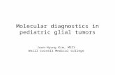 Molecular diagnostics in pediatric glial tumors Joon-Hyung Kim, MSIV Weill Cornell Medical College.
