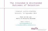The Intended & Unintended Outcomes of Detention Criminal Justice Platform Brussels, 18 September 2014 Peter van der Laan NSCR & VU University Amsterdam.