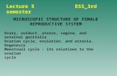 Lecture 5 ESS_3rd semester MICROSCOPIC STRUCTURE OF FEMALE REPRODUCTIVE SYSTEM Ovary, oviduct, uterus, vagina, and external genitalia Ovarian cycle, ovulation,