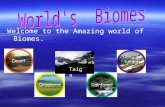 Welcome to the Amazing world of Biomes. Taiga. 88. By Clay Rathman, Jordan Wakefield, Esme Opp, and Sydnie Stilley.