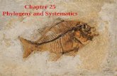 Chapter 25 Phylogeny and Systematics. Phylogeny The evolutionary history of a species or a group of species over geologic timeThe evolutionary history.