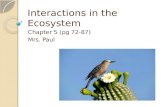 Interactions in the Ecosystem Chapter 5 (pg 72-87) Mrs. Paul.