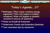 Today’s Agenda…3/7  Bellringer: What causes variation among organisms? What will happen to helpful variations? What will happen to harmful variations?