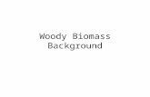 Woody Biomass Background. Some History 1970’s energy crisis results in government subsidies and research 1978 Public Utilities Regulatory Policy Act (utilities.