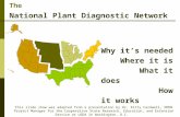 The National Plant Diagnostic Network This slide show was adapted from a presentation by Dr. Kitty Cardwell, NPDN Project Manager for the Cooperative State.
