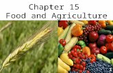 Chapter 15 Food and Agriculture 1. Section 1: Feeding the World 2.