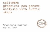 SplitMEM: graphical pan-genome analysis with suffix skips Shoshana Marcus May 29, 2014.