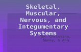 By: Christina, Sunny, & Ann Skeletal, Muscular, Nervous, and Integumentary Systems.