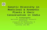 Genetic Diversity in Medicinal & Aromatic Plants & their Conservation in India P. Pushpangadan National Botanical research Institute (Council of Scientific.