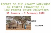 REPORT OF THE NIAMEY WORKSHOP ON FOREST FINANCING IN LOW FOREST COVER COUNTRIES 30 January – 3 February 2012 IBRO ADAMOU.
