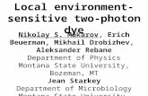 Local environment- sensitive two-photon dye Nikolay S. Makarov, Erich Beuerman, Mikhail Drobizhev, Aleksander Rebane Department of Physics Montana State.