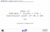 Demo of PUB-Web / JCache / STA / SybilGuard (part of D6.2.10) UPB Joachim Gehweiler.