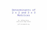 Determinants of 2 x 2 and 3 x 3 Matrices By: Jeffrey Bivin Lake Zurich High School jeff.bivin@lz95.org.