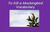 To Kill a Mockingbird Vocabulary Yo, don’t kill me.