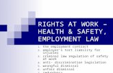RIGHTS AT WORK – HEALTH & SAFETY, EMPLOYMENT LAW 1. the employment contract 2. employer’s tort liability for injuries 3. criminal law regulation of safety.