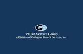 VEBA Service Group a Division of Gallagher Benefit Services, Inc.