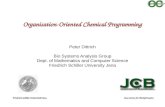 Organisation-Oriented Chemical Programming Peter Dittrich Bio Systems Analysis Group Dept. of Mathematics and Computer Science Friedrich Schiller University.