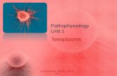Pathophysiology Unit 1 Neoplasms Pathophysiology - Borders - Spring 2012.