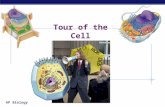 AP Biology Tour of the Cell AP Biology Prokaryote bacteria cells Types of cells Eukaryote animal cells Eukaryote plant cells