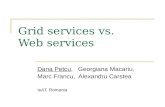 Grid services vs. Web services Dana Petcu, Georgiana Macariu, Marc Francu, Alexandru Carstea IeAT, Romania.