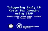 Joanna Syroka, Addis Ababa, Ethiopia 21 January 2008 Triggering Early LP Costs for Drought using LEAP.