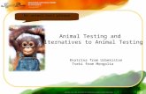No animal test please Animal Testing and Alternatives to Animal Testing Ekatrina from Uzbekistan Tseki from Mongolia.