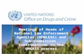 Meetings of Heads of National Law Enforcement Agencies (HONLEAS) and Sub-commission Contributions to the UNGASS process Jo Dedeyne-Amann Secretariat to.