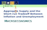 M ACROECONOMICS C H A P T E R Aggregate Supply and the Short-run Tradeoff Between Inflation and Unemployment 13.