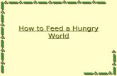 How to Feed a Hungry World. World Population Levels 6 billion in 19996 billion in 1999 Will probably reach 8 billion by 2020, this will add 2 billion.