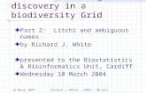 10 March 2004Richard J. White – COMSC / BB Unit Reliable knowledge discovery in a biodiversity Grid Part 2: Litchi and ambiguous names by Richard J. White.