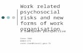 Work related psychosocial risks and new forms of work organisation a European perspective Ceren INAN DARES-CTS ceren.inan@travail.gouv.fr.