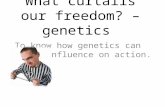 What curtails our freedom? – genetics To know how genetics can be an influence on action.