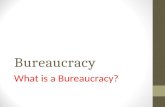 Bureaucracy What is a Bureaucracy?. Homework Read Chapter 15 section 1, pp. 414-418.