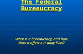 The Federal Bureaucracy What is a bureaucracy, and how does it affect our daily lives?