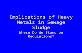 Implications of Heavy Metals in Sewage Sludge Where Do We Stand on Regulations?