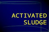 ACTIVATED SLUDGE. About 100 years ago, engineers noticed that re-suspension and re-aeration of the settled sludge from secondary clarifiers in a fresh.