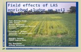 National Environmental Research Institute Department of Terrestrial Ecology SETAC Madrid 2001 Field effects of LAS enriched sludge on soil fauna Paul Henning.