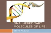 DNA: HEREDITARY MOLECULES OF LIFE SBI 4U, Ms.Zafar.