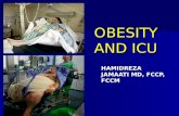 OBESITY AND ICU HAMIDREZA JAMAATI MD, FCCP, FCCM.