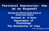 Perinatal Depression: How do we Respond? Michael W. O’Hara Department of Psychology The University of Iowa Meeting the Mental Health Needs of Texans (and.