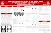 Methods Results Conclusions Selective cholinergic lesions of the medial septum disrupt dead reckoning based navigation M.M. Martin*; M.D. Schultz; S.S.