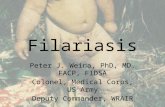 Filariasis Peter J. Weina, PhD, MD, FACP, FIDSA Colonel, Medical Corps, US Army Deputy Commander, WRAIR.
