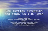 Sea Turtles situation and study in I.R. Iran Asghar Mobaraki Expert of wild Life and Aquatic affairs Bureau National Focal Point For MOU-IOSEA Department.