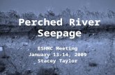 Perched River Seepage ESHMC Meeting January 13-14, 2009 Stacey Taylor.