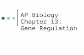 AP Biology Chapter 13: Gene Regulation. Gene Regulation in Bacteria and Eukaryotes Bacterial cells Genetic Organization? Grow rapidly and have short life.