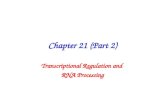 Chapter 21 (Part 2) Transcriptional Regulation and RNA Processing.