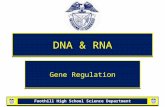 Foothill High School Science Department DNA & RNA Gene Regulation.