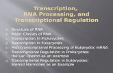 A. Structure of RNA B. Major Classes of RNA C. Transcription in Prokaryotes D. Transcription in Eukaryotes E. Post-transcriptional Processing of Eukaryotic.